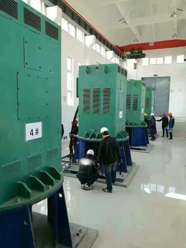 250KW某污水处理厂使用我厂的立式高压电机安装现场